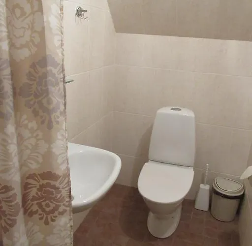 Arina House 度假居 Nasva (Saare)